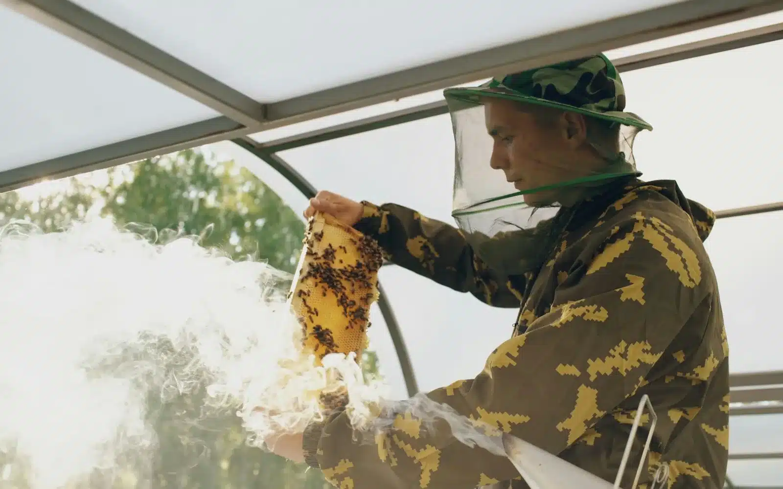 Beekeeper removing a live bee colony at a Melbourne property
